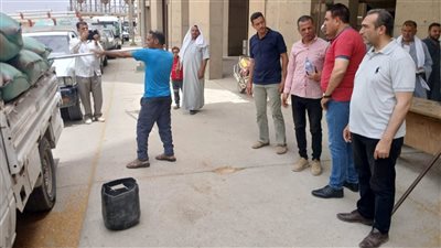 توريد 225 ألف طن من القمح بشون وصوامع الفيوم