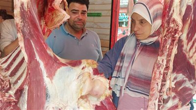 مديرية الطب البيطري بالبحيرة تستعد لإستقبال عيد الأضحي