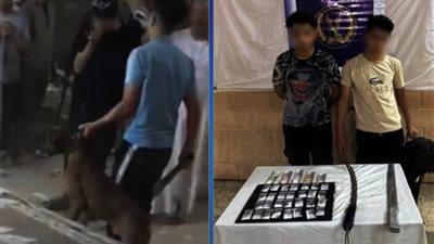 ضبط شابين بتهمة البلطجة بسلاح أبيض وكلب في الهرم