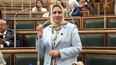 النائبة سحر صدقي: قانون العلاوة يدعم العدالة الاجتماعية وتخفيف الأعباء المعيشية عن العاملين 