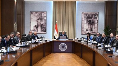 مدبولي يؤكد استمرار جهود الحكومة لتحقيق المستهدف باستدامة المسار النزولي للدين الخارجي