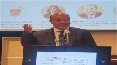 خالد حنفي: الهجمات على سفن الشحن في البحر الأحمر أدت لزيادة مدّة الشحن