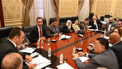 رياضة النواب توصي بسرعة تدبير الاعتمادات المالية لإحلال وتجديد مركز شباب بالمحلة