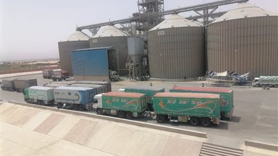 توريد 450 ألف طن من القمح لشون وصوامع المنيا 