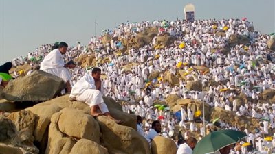  أركان الحج عند جمهور العلماء