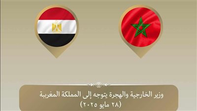 عاجل.. وزير الخارجية يتوجه إلى المغرب في زيارة ثنائية