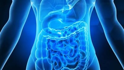 علمياً.. إليك كيفية تناول الطعام بعد المضادات الحيوية