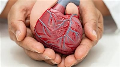 أفضل 5 نصائح من الأطباء لحماية صحة قلبك يومياً