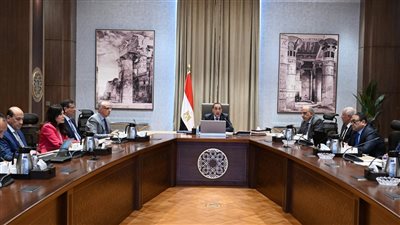 رئيس الوزراء يتابع موقف تنفيذ عددٍ من المشروعات الخدمية والتنموية بالوادي الجديد