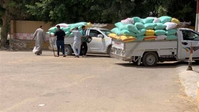  الشرقية: توريد أكثر من 582 ألف طن قمح محلي 
