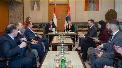 جبران يلتقي وزيرة العمل والتوظيف في صربيا لفتح أسواق جديدة أمام الكوادر المصرية