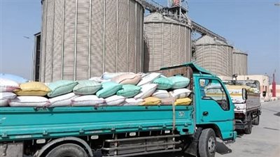 الشرقية تواصل استقبال كميات القمح المحلي