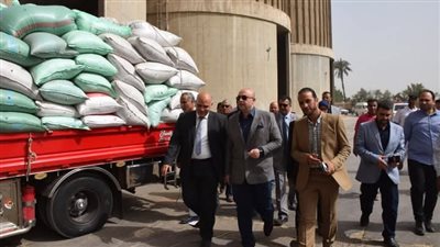 بني سويف: استلام أكثر من 253 ألف طن قمح بالشون والصوامع  