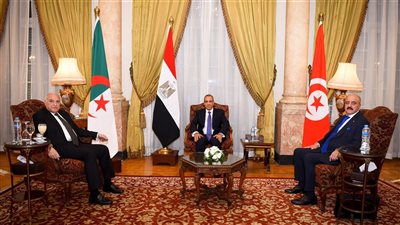 وزير الخارجية يستضيف اجتماعًا للآلية الثلاثية لدول الجوار حول ليبيا 