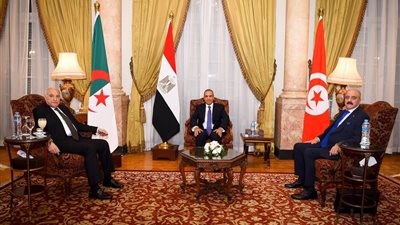 البيان الختامي لاجتماع وزراء خارجية مصر وتونس والجزائر بشأن ليبيا