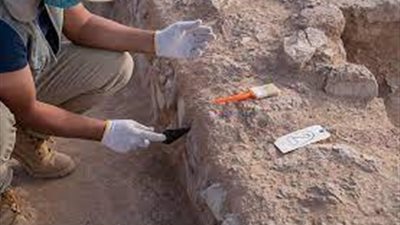 العثور على جمجمة بشرية مشوهة في الأرجنتين.. علماء يكشفون التفاصيل (صور)