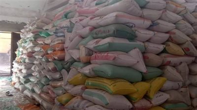 شون وصوامع البحيرة تواصل استقبال محصول  القمح  