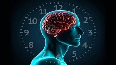 دراسة توضح العلاقة بين الساعة البيولوجية وتغير الفصول