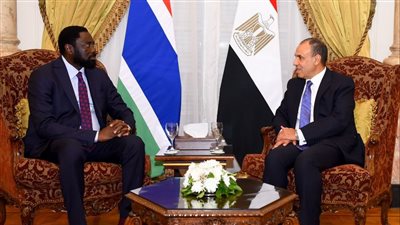وزير الخارجية: مصر مستعدة للتعاون مع جامبيا في تنفيذ تطلعاتها التنموية