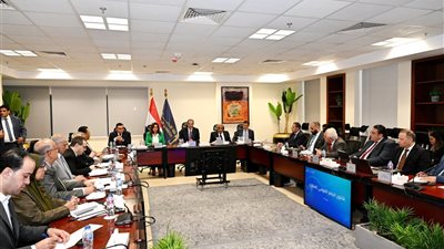 الحكومة تصدر 19 مليون رقم قومي عقاري 