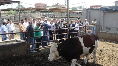 محافظ القليوبية يتفقد مزرعة للثروة الحيوانية بقرية العمار بطوخ