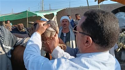 محافظ الجيزة: فتح 23 مجزرًا مجانًا أمام المواطنين خلال أيام عيد الأضحى