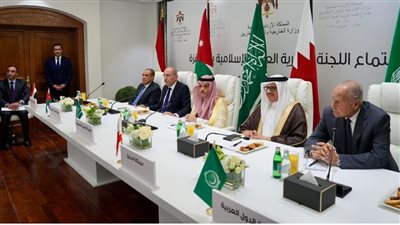 وزير الخارجية: موقف مصر ثابت إزاء رفض مخططات تهجير الشعب الفلسطيني