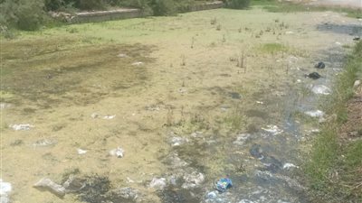 أكوام القمامة وبرك الصرف تحيط مدينة قنطرة..والأهالي يستغيثون 