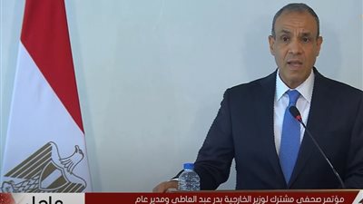 وزير الخارجية: الضبعة ركيزة استراتيجية.. والتعاون مع 