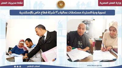 وزارة العمل تسترد مستحقات عمالية من شركات القطاع الخاص.. التفاصيل 