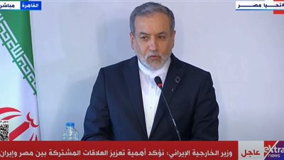  وزير الخارجية الإيراني: نطالب بوقف فوري لإطلاق النار بغزة.. نثمّن جهود مصر