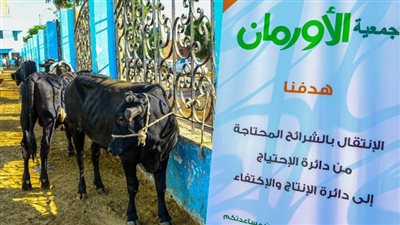 «لحمة العيد واصلة لحد باب البيت».. التضامن والأورمان يستهدفان 41 قرية في الشرقية