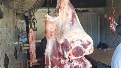 175 محضرًا بيئيًا وإعدام طنَّين من المواد الغذائية الفاسدة استعدادًا لعيد الأضحى بالشرقية