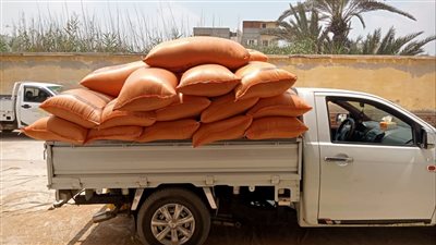 صوامع وشون البحيرة تواصل استقبال الأقماح المحلية 