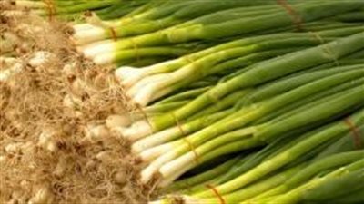 فوائد مذهلة لتناول البصل الأخضر