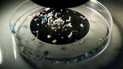 تأثير الجسيمات البلاستيكية الدقيقة على صحة الإنسان