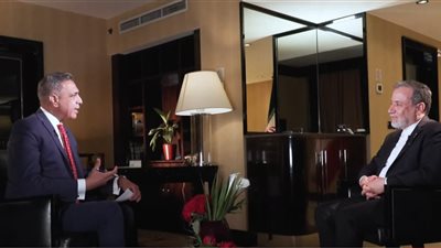 وزير الخارجية الإيراني يشيد بدور مصر ودعمها للمفاوضات النووية