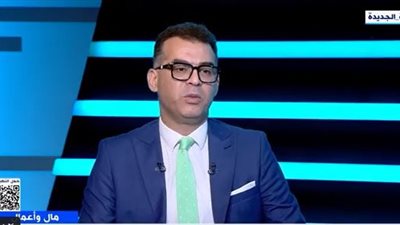 أستاذ قانون يكشف أهداف طرح 11 شركة حكومية ضمن برنامج الطروحات