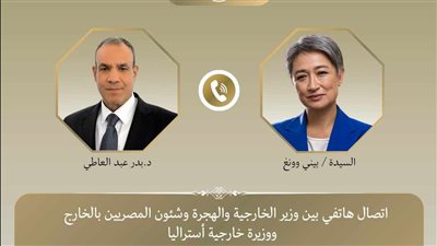 وزير الخارجية: حل الدولتين وإقامة الدولة الفلسطينية السبيل الوحيد للاستقرار بالمنطقة