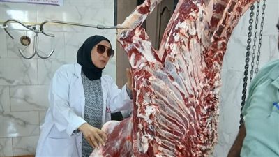ضبط لحوم ودواجن فاسدة خلال حملات موسعة قبل عيد الأضحى