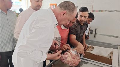 ضبط أغذية فاسدة خلال حملات رقابية بالبحيرة