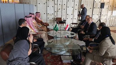 وزير العمل يلتقى نظيره السعودي لتفعيل التعاون المشترك