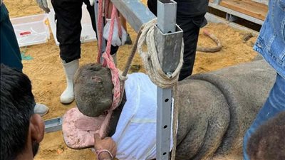 التحالف الوطني يستعين بأفضل الخبرات الدولية والمحلية لرعاية الحيوانات بحديقة الحيوان