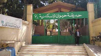 حديقة الحيوان بالإسكندرية على قدم وساق لاستقبال زوارها للتنزه خلال عيد الأضحى