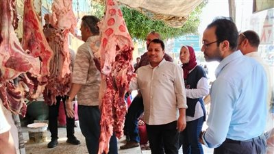 ضبط لحوم فاسدة وتحرير 35 محضرا ضد الجزارين بالفيوم 
