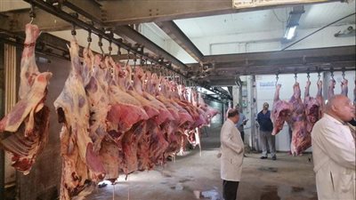 فتح المجازر لذبح أضحى المواطنين بالإسكندرية 