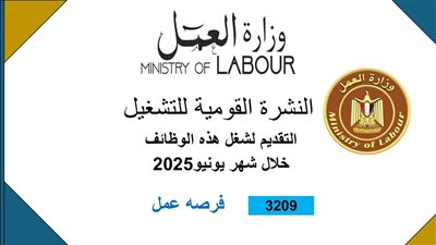 3209 فرصة عمل جديدة بشركات القطاع الخاص.. التفاصيل