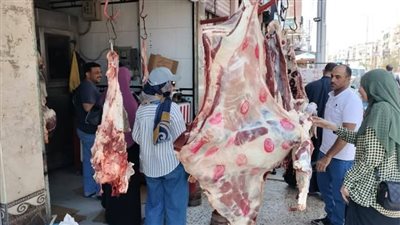 تشكيل لجنة للمرور على محال الجزارة بدمياط 