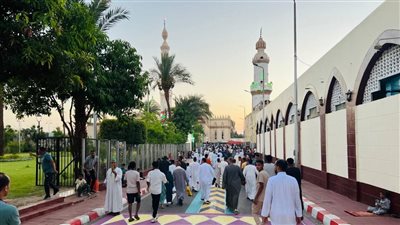  قنا تحتفل بعيد الأضحي.. والمحافظة تخصص أرقامًا لتلقي البلاغات 