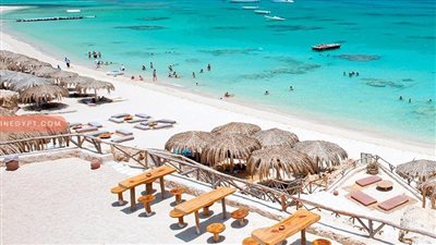  غرفة عمليات بالإدارة المركزية لشركات السياحة خلال عيد الأضحى  لتلقى وبحث أى شكاوى أو مخالفات والعمل على سرعة حلها